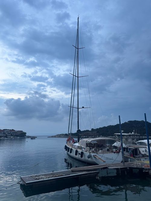 WINK gallery image 12